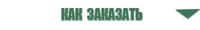 Скэнар протон